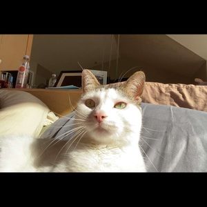 Meet your Posher, Kaylee